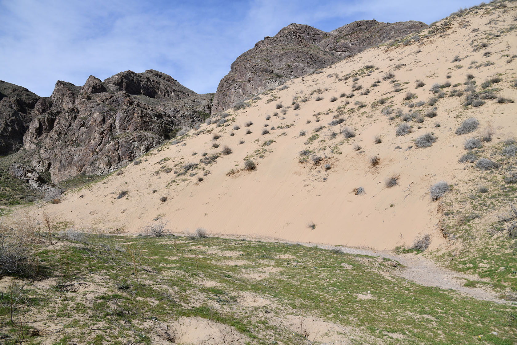 Капшагай, image of landscape/habitat.