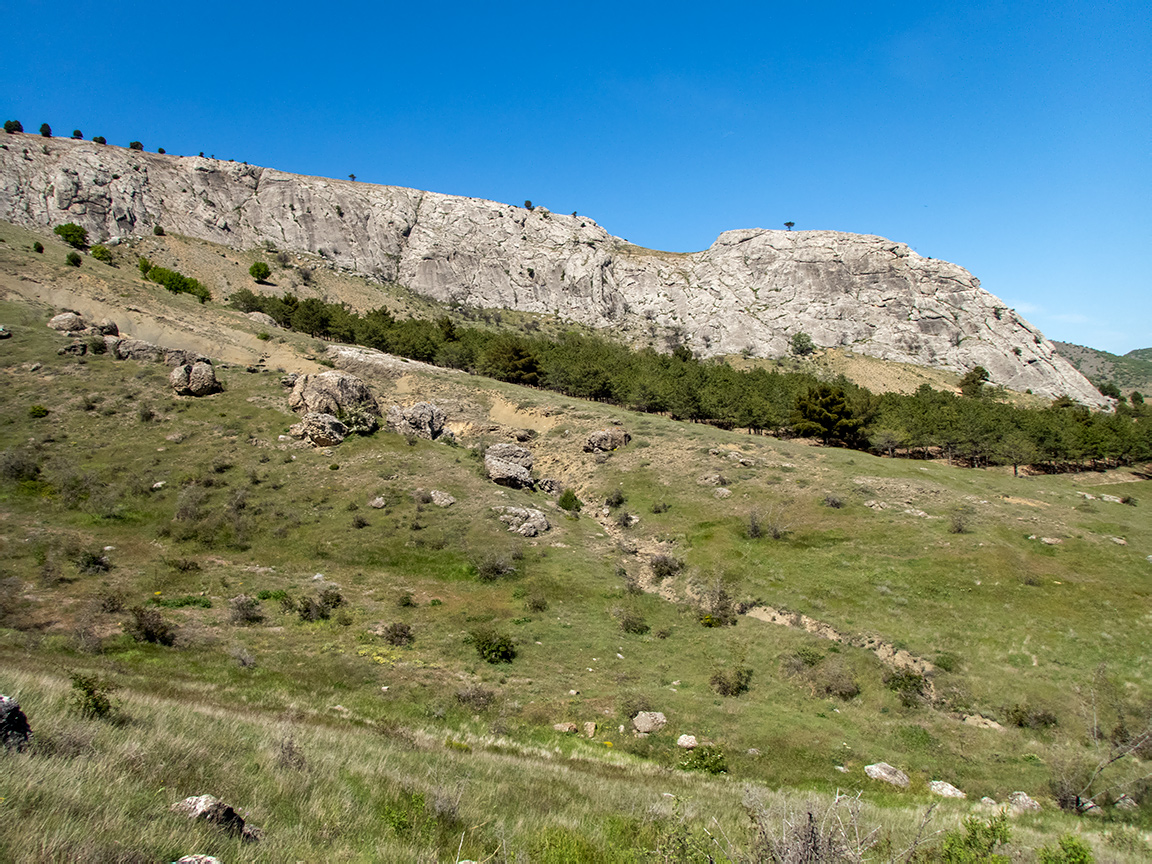 Окрестности села Весёлое, image of landscape/habitat.