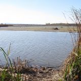 Варнавинское водохранилище, image of landscape/habitat.