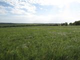 Image of landscape