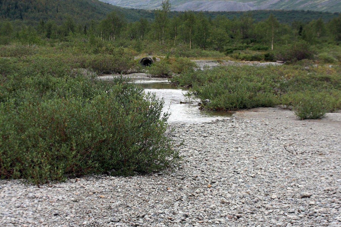 Долина Малого Вудъявра, image of landscape/habitat.