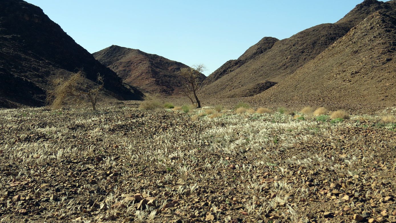 Эйлатские горы, image of landscape/habitat.