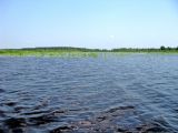 НП Мещёра, image of landscape/habitat.