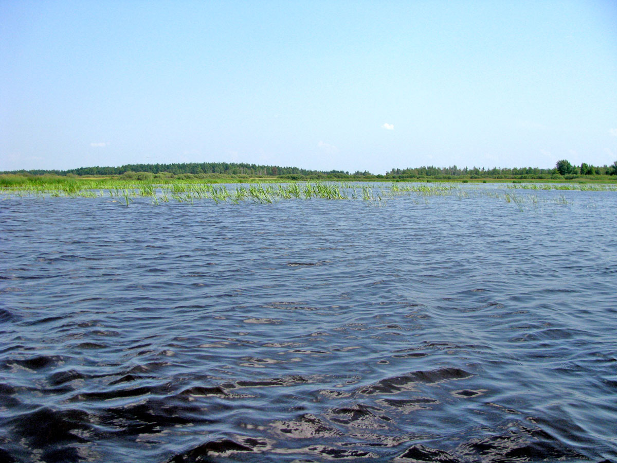 НП Мещёра, image of landscape/habitat.