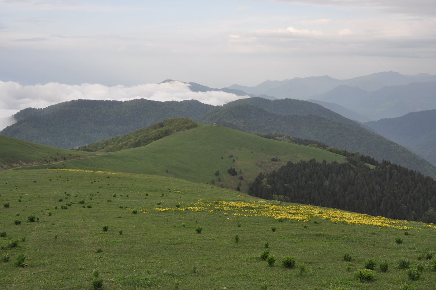 Гора Ломис-Мта, изображение ландшафта.