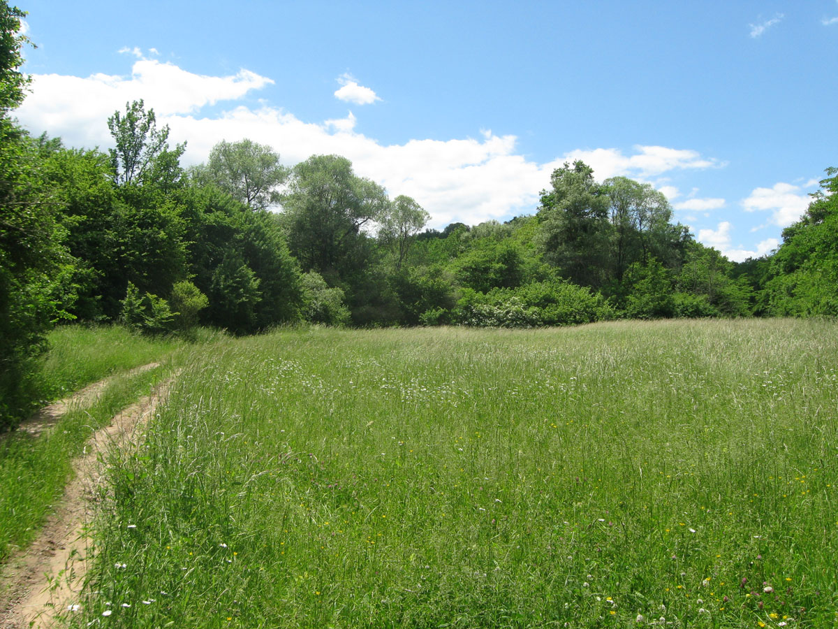 Хараб-Тавель, image of landscape/habitat.