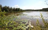 Озеро Клюквенное, image of landscape/habitat.