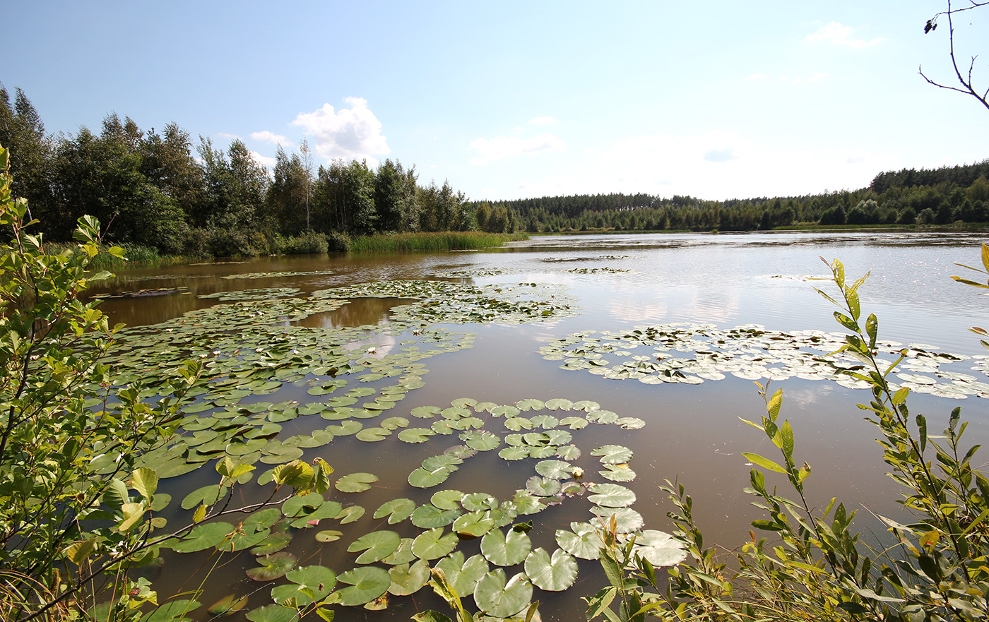 Озеро Клюквенное, image of landscape/habitat.