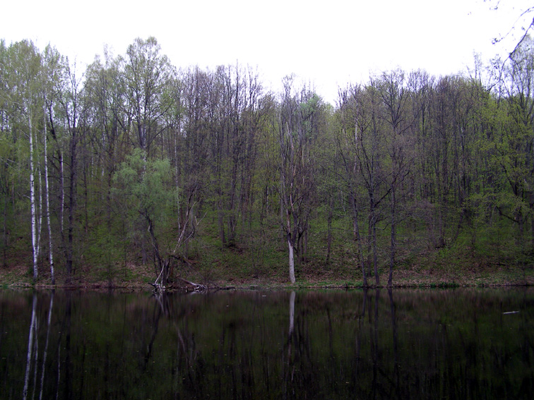 Мезинский НПП, image of landscape/habitat.