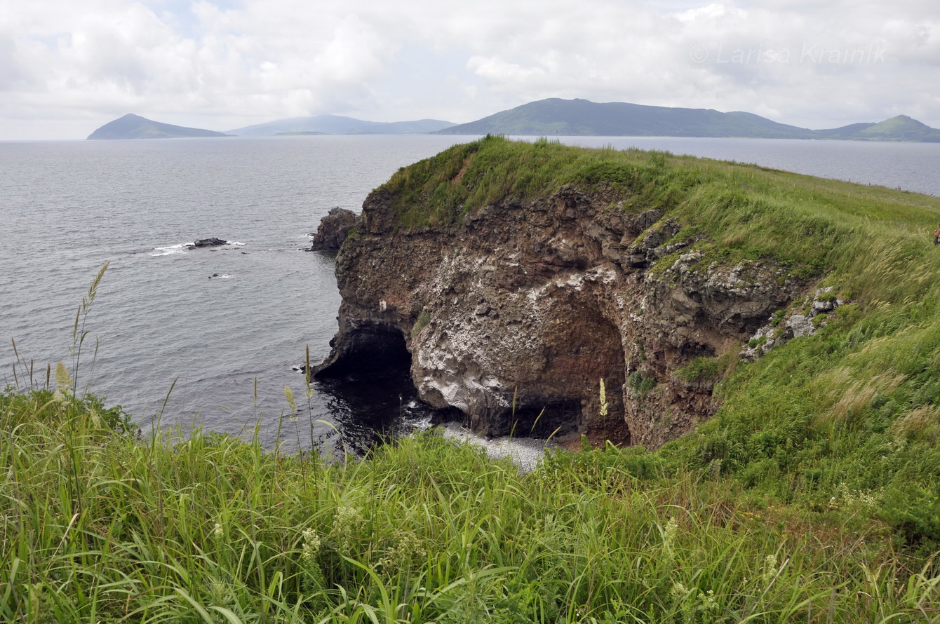 Полуостров Краббе, image of landscape/habitat.