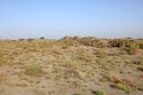 Image of landscape