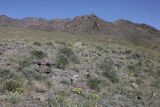 Image of landscape