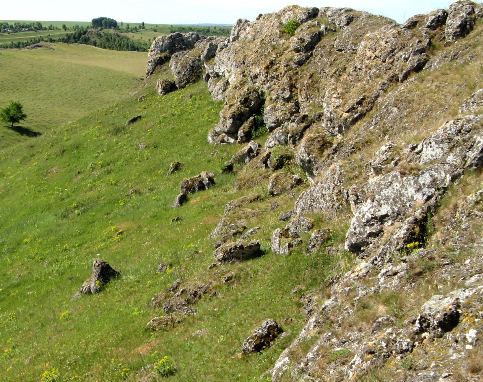 Брынзень, изображение ландшафта.