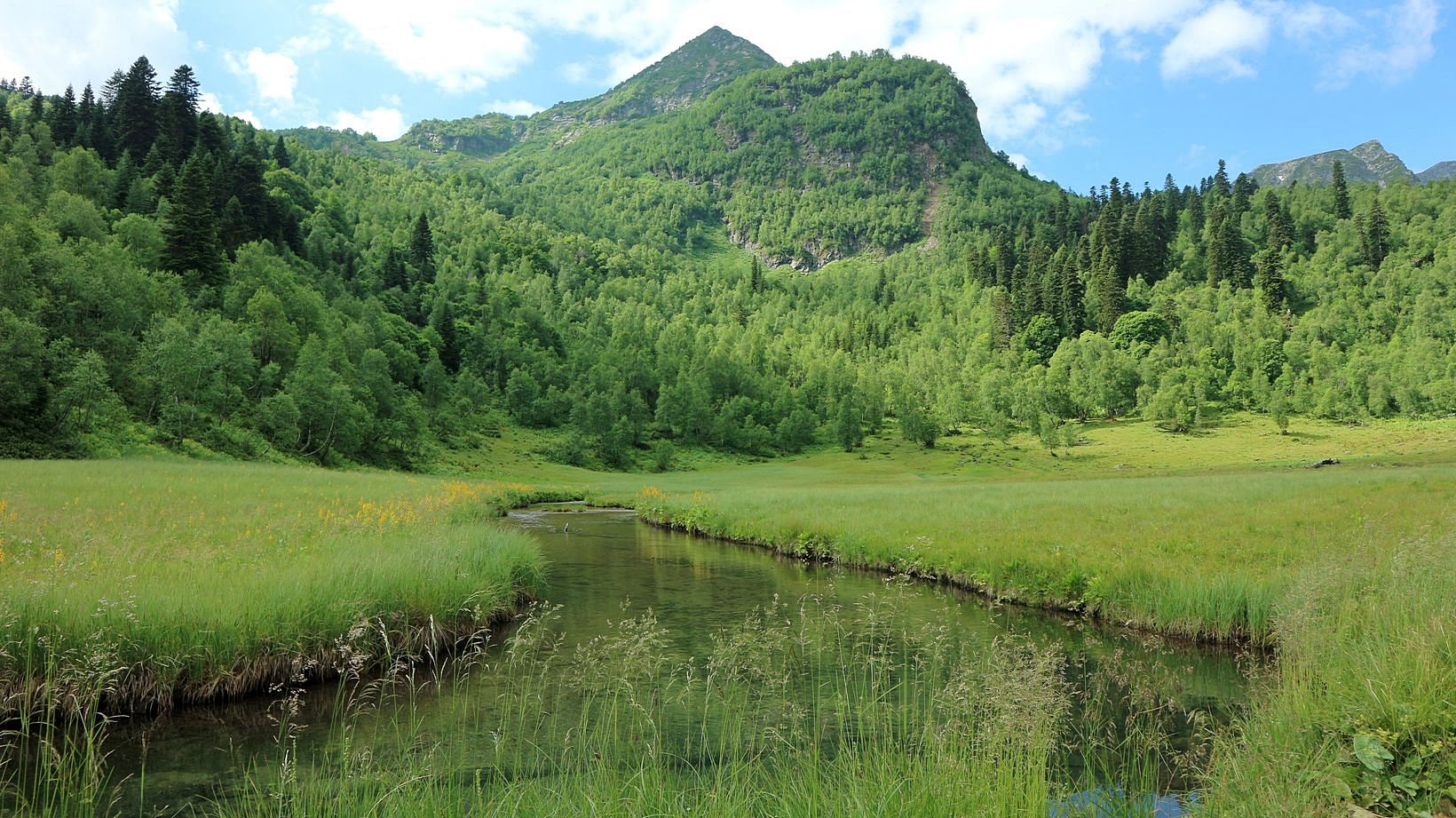 Долина реки Малая Дукка, image of landscape/habitat.