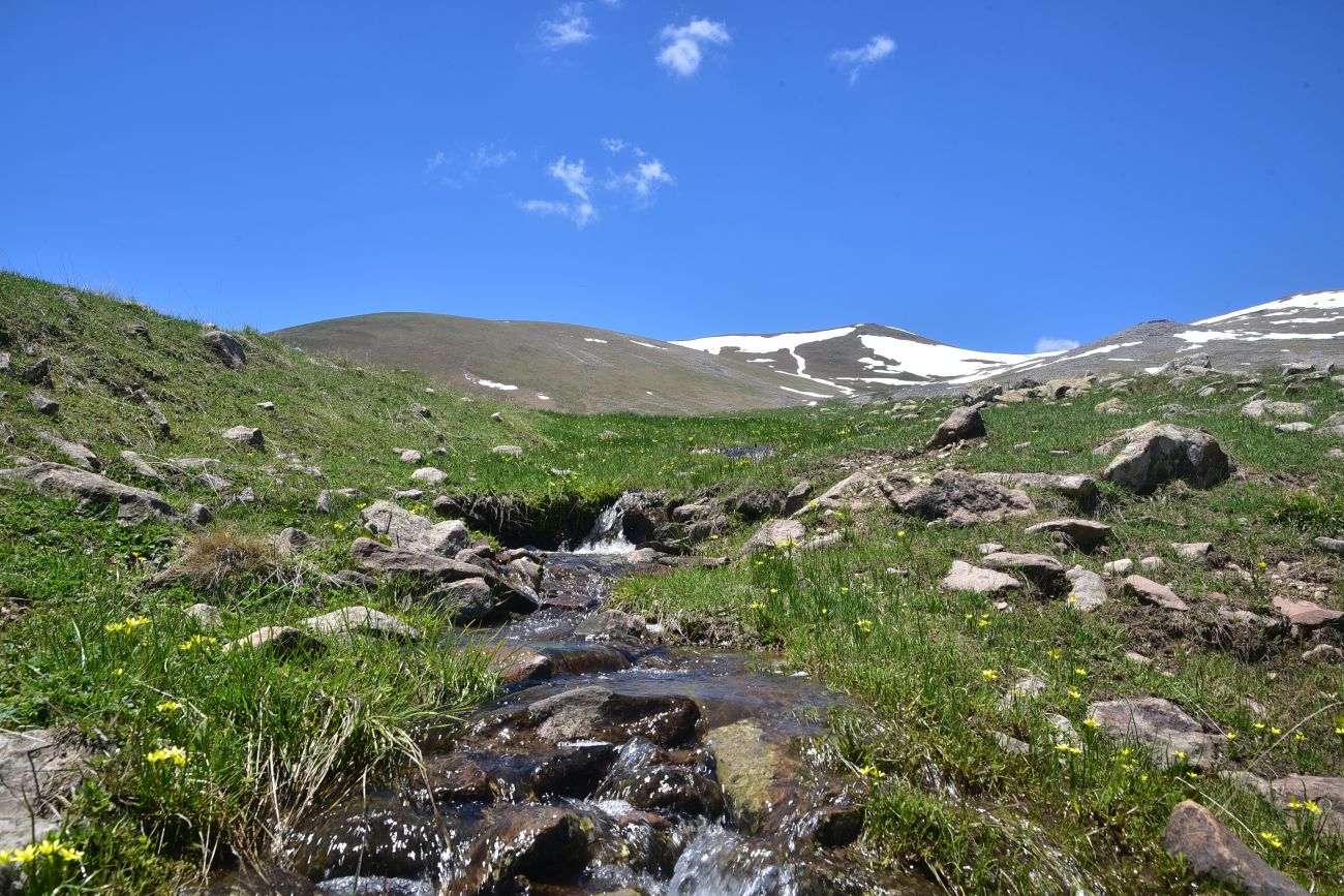 Гора Патара Абули, изображение ландшафта.