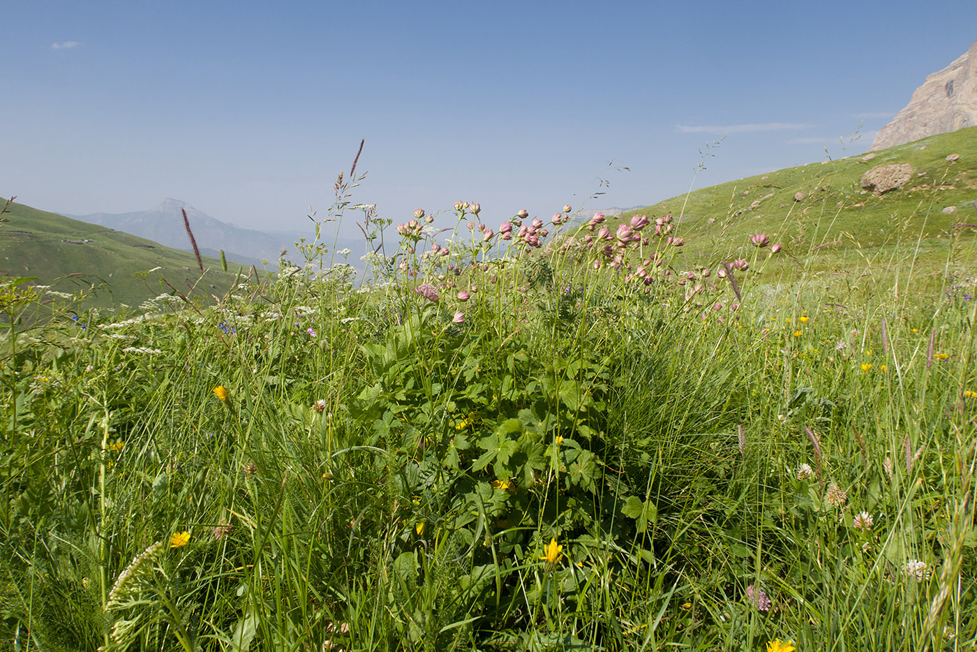 Сельды, image of landscape/habitat.