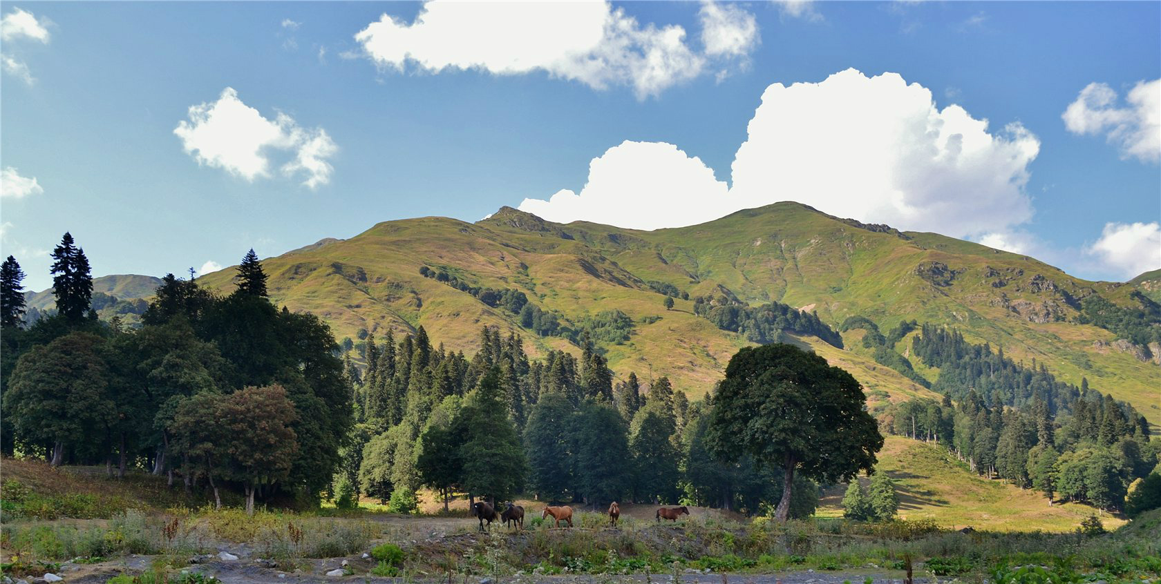 Авадхара (Ауадхара), image of landscape/habitat.