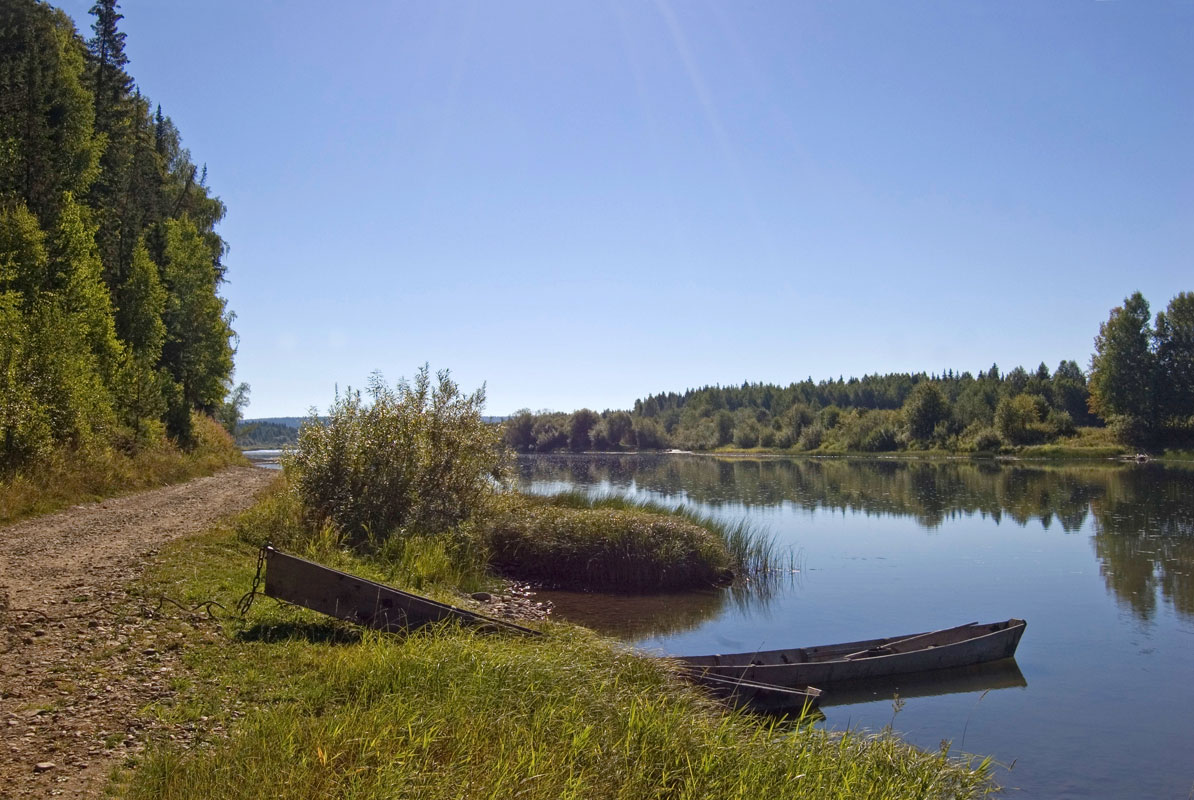 Окрестности деревни Ванькова, image of landscape/habitat.