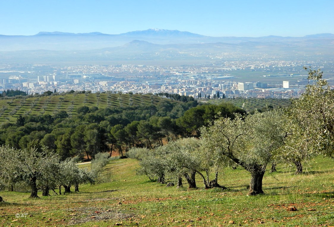 Гранада, image of landscape/habitat.