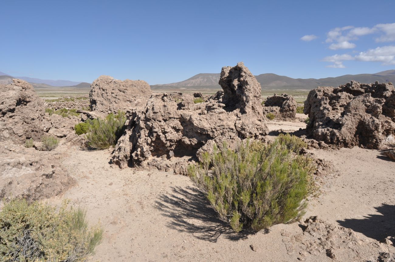 Окрестности села Сан-Хуан, image of landscape/habitat.