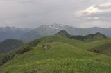 Гора Ломис-Мта, image of landscape/habitat.