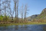 Окрестности Верхнегалеево, image of landscape/habitat.