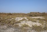 Image of landscape