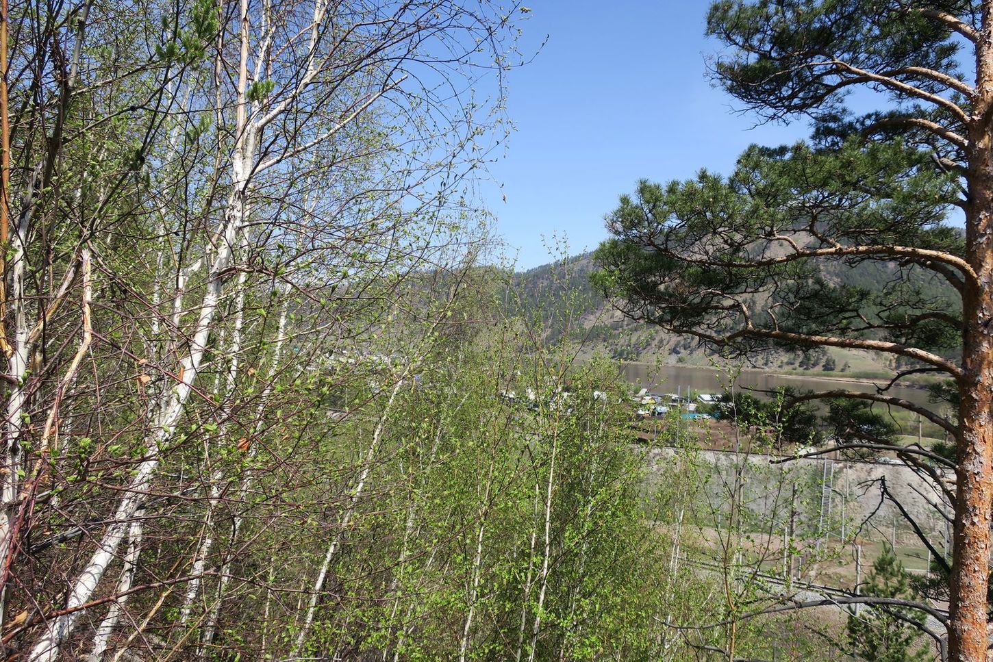 Мост через Селенгу, image of landscape/habitat.