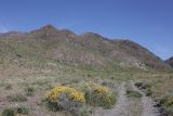 Image of landscape