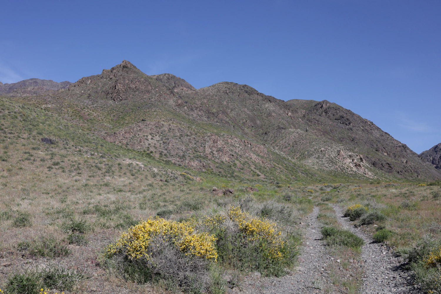Шылбыр, image of landscape/habitat.