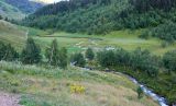 Image of landscape