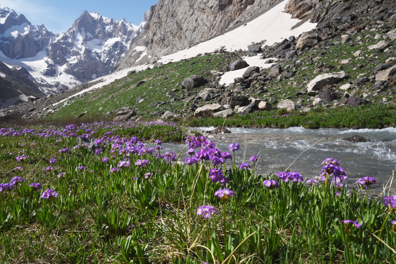 Восточная Турция и немного Месопотамии (май 2025 г.)