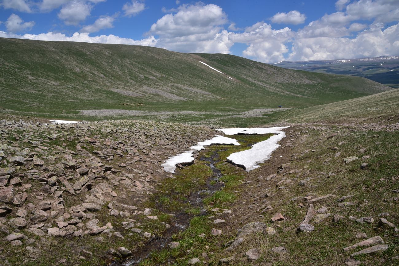 Гора Патара Абули, изображение ландшафта.