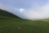 Image of landscape