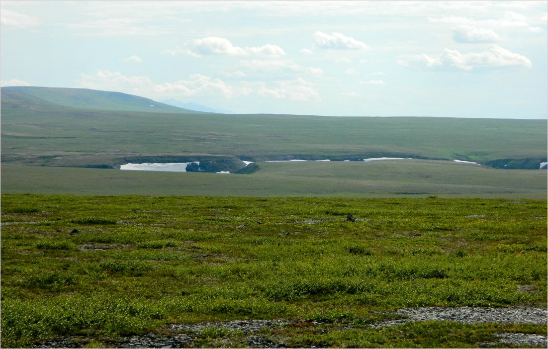 Большая Хойлаю, image of landscape/habitat.