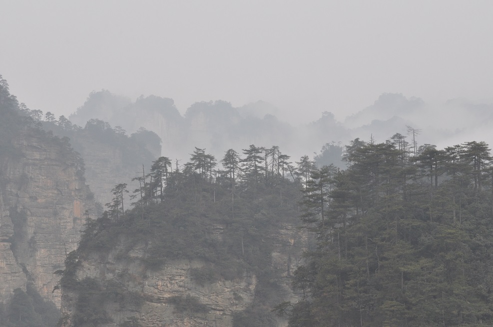 Национальный парк "Чжанцзяцзе", image of landscape/habitat.