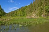 Окрестности Галиакберово, изображение ландшафта.