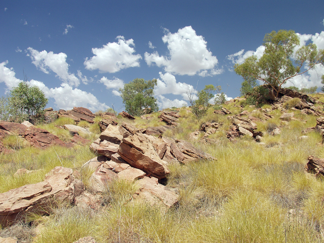 Boodjamulla (Lawn Hill), image of landscape/habitat.