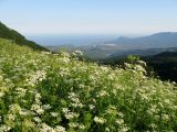 Северная Демерджи, изображение ландшафта.