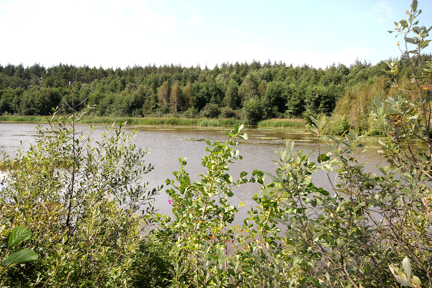 Озеро Клюквенное, image of landscape/habitat.