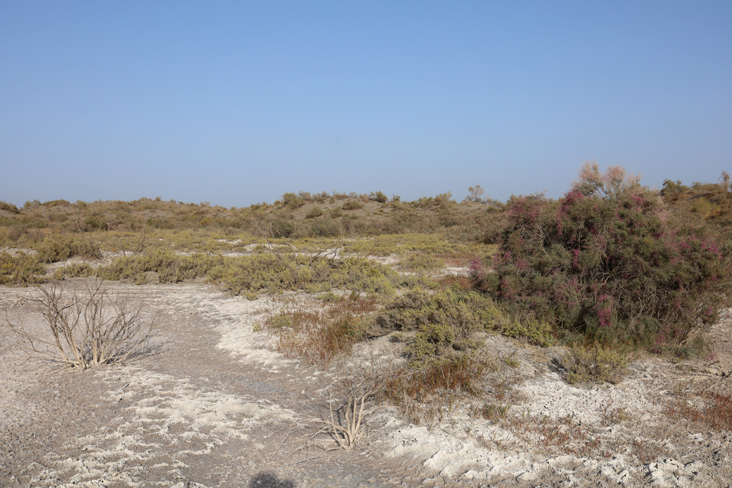 Пески Язъяван, Язъяванский район, image of landscape/habitat.