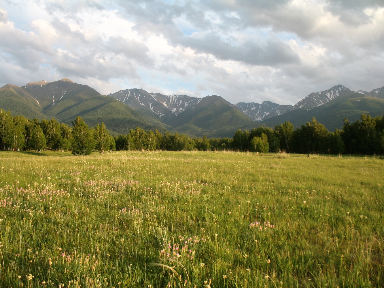 Топкайын, image of landscape/habitat.