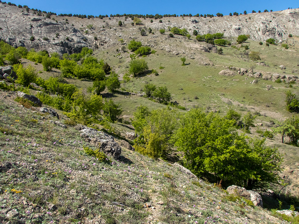 Окрестности села Весёлое, изображение ландшафта.