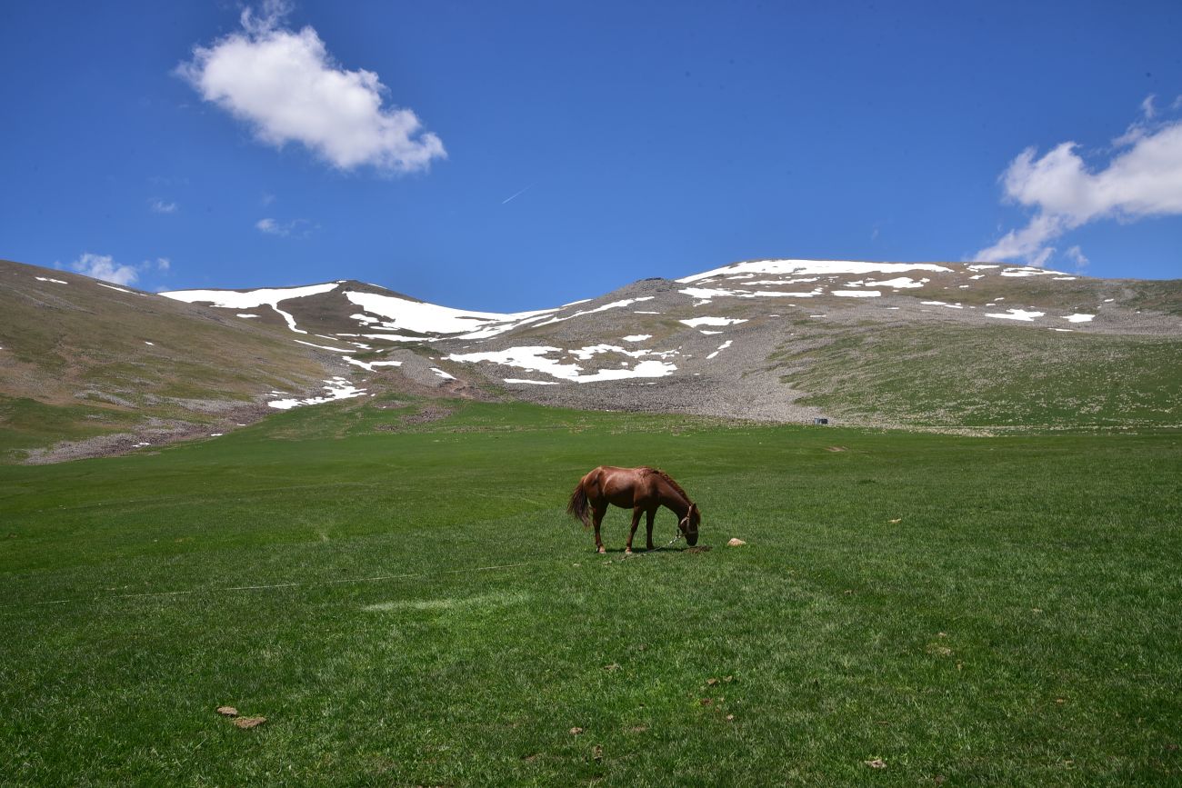 Гора Патара Абули, изображение ландшафта.
