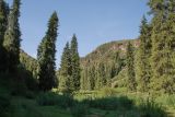 Image of landscape