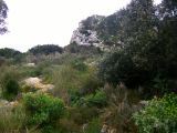 Image of landscape