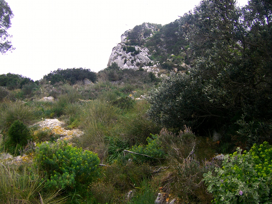 Пеньал д'Ифак, image of landscape/habitat.
