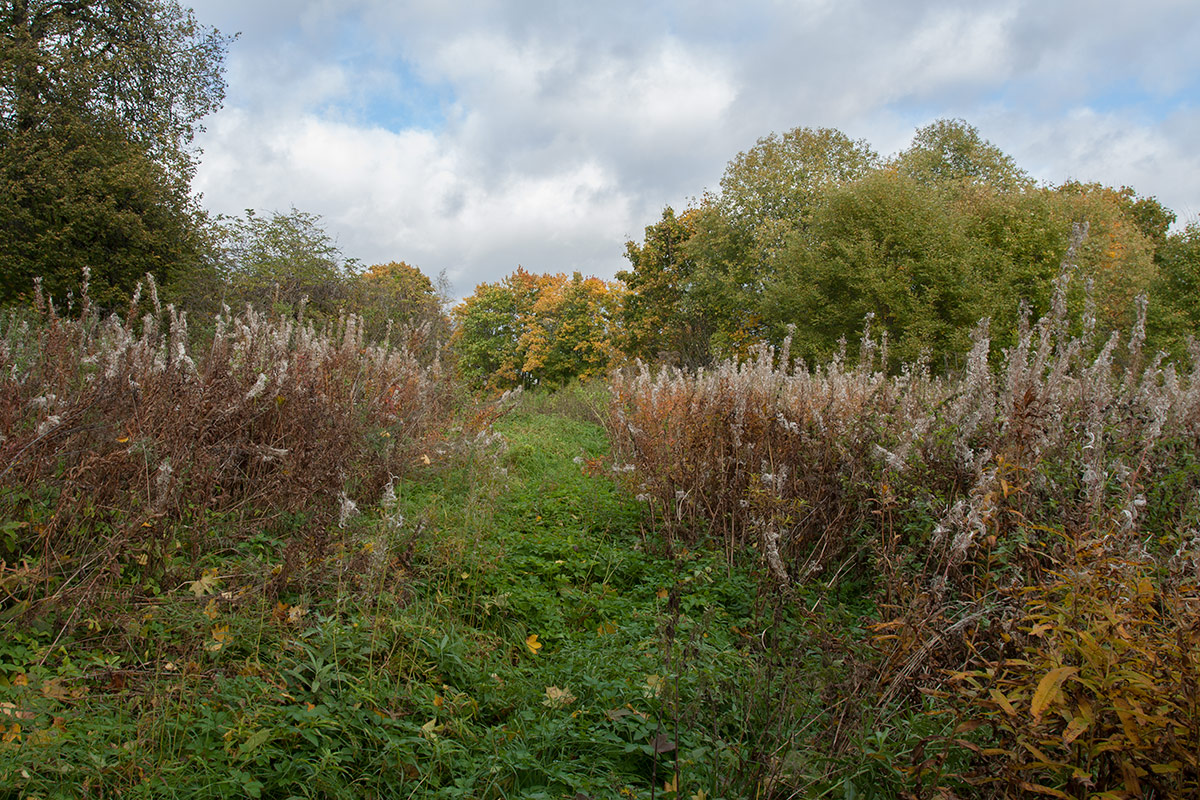 Пятая Гора, image of landscape/habitat.