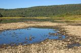 Окрестности деревни Ванькова, image of landscape/habitat.