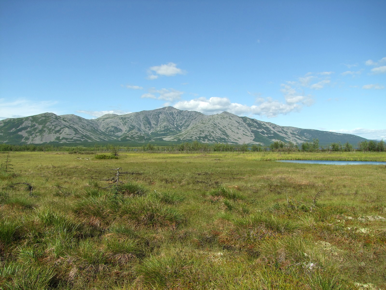 Глухое, image of landscape/habitat.
